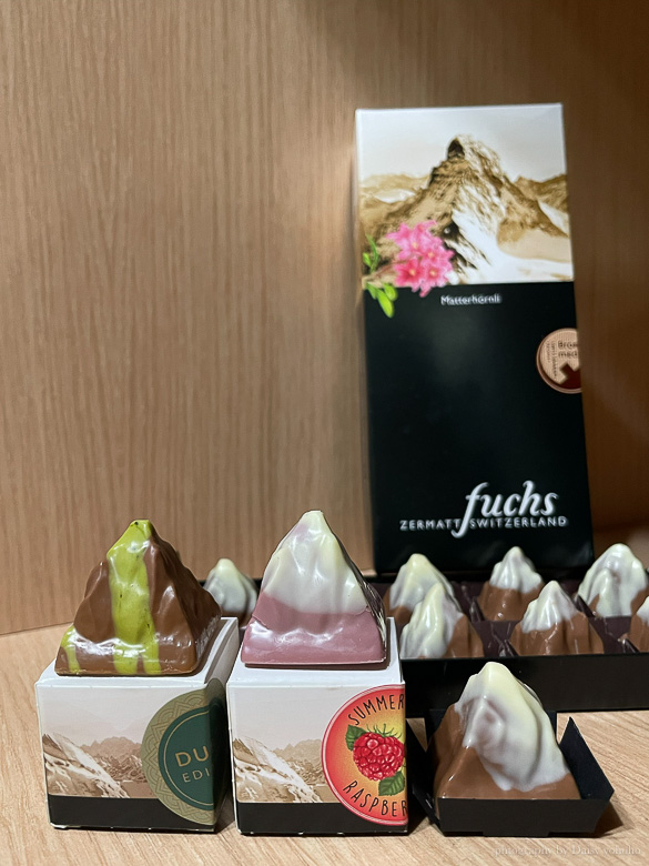 Lin 的夏季瑞士之旅