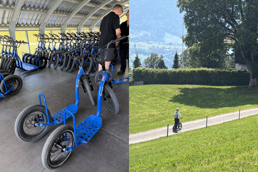 Niederhorn 滑板車